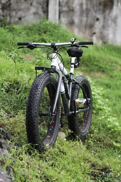 Why You Should Consider Getting a Fat Tire Mountain Bike